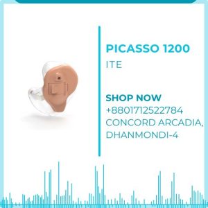 picasso-1200-ite